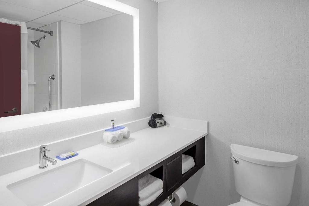 Holiday Inn Express & Suites Asheville SW - Outlet Ctr Area, an IHG Hotel - King Suite Avec Canapé-lit