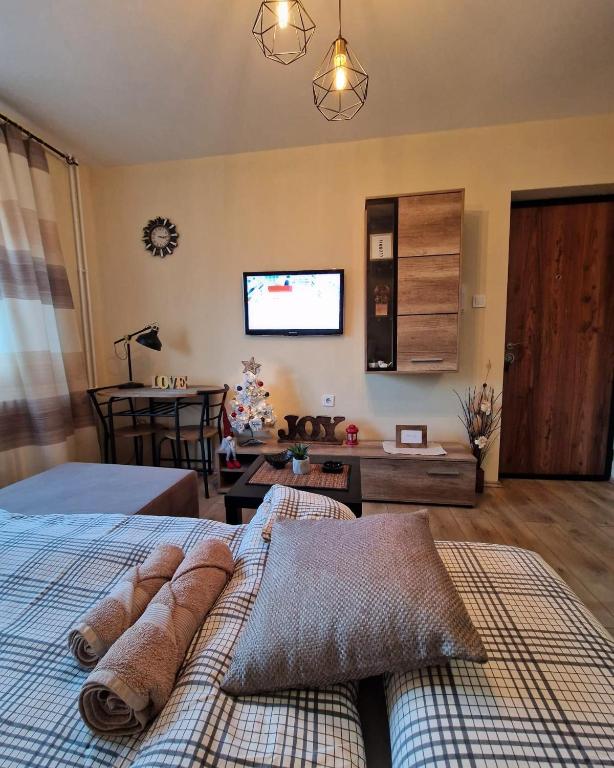 Vuode tai vuoteita majoituspaikassa Grey & Sunny Apartments Zaječar