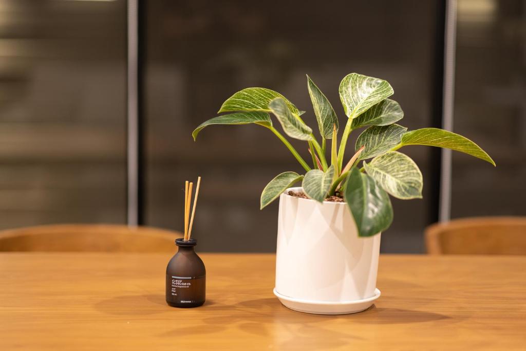 AMIRI PLACE HOTEL - Resim 14