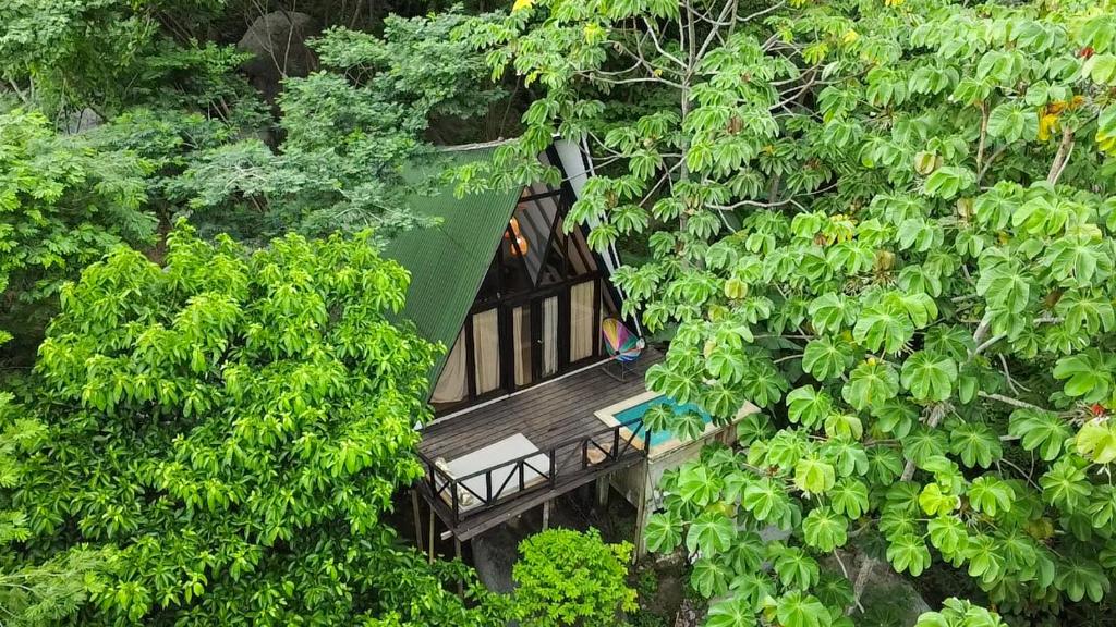 uma vista superior de uma casa na árvore através das árvores em Lodge Cacao em El Zaino