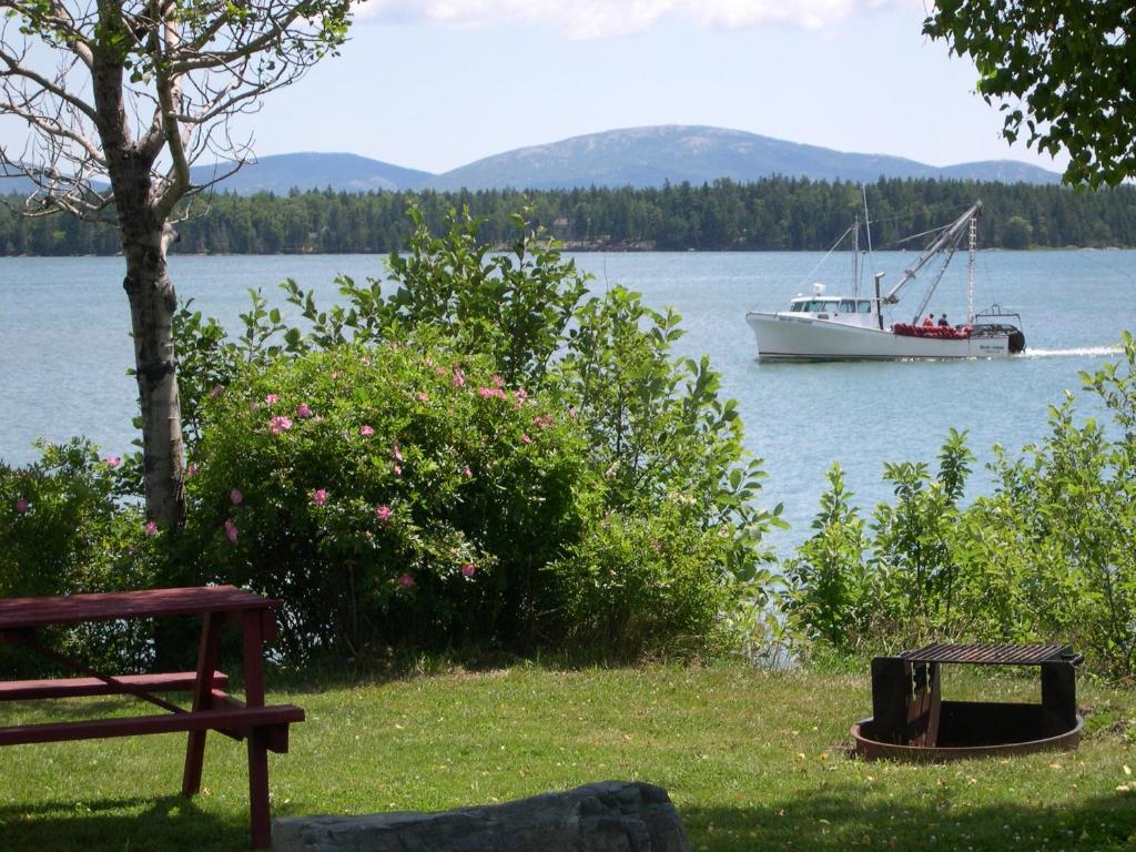 a boat on the water with a tree and a bench at Narrows Too Camping Resort Cottage 11 in Trenton