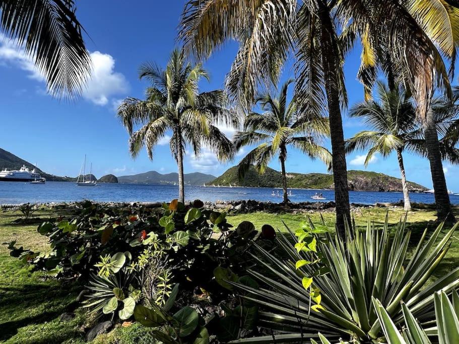 een uitzicht op een strand met palmbomen en de oceaan bij Bungalow Sucrier, les pieds dans l'eau in Terre-de-Haut