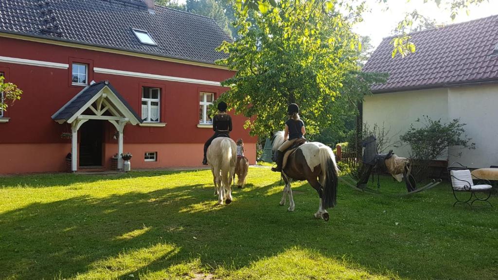 Zvířata v apartmánu nebo okolí