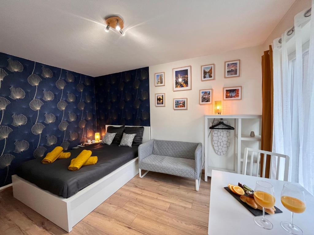 LE MULHOUSIEN, Studio proche centre-ville