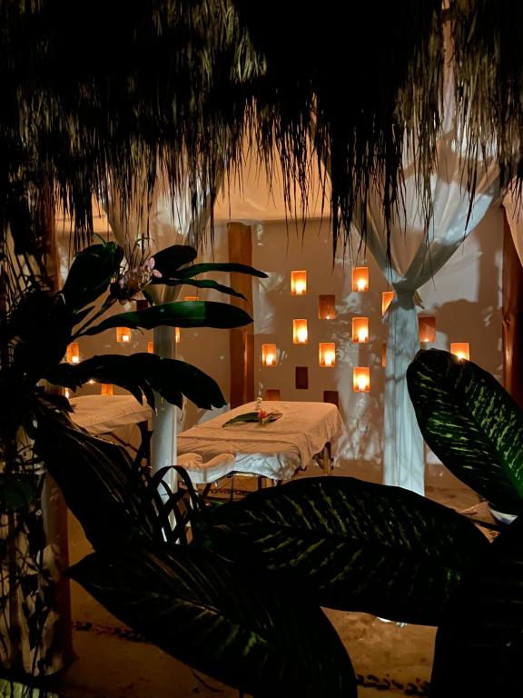 Piedra de Agua Palenque