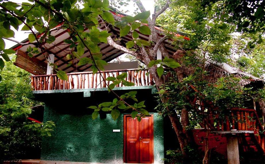 Zahrada ubytování Sigiri Holiday Villa