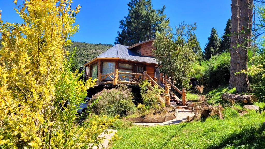 una cabaña de madera en el bosque con árboles en Cabaña Del Árbol en San Martín de los Andes