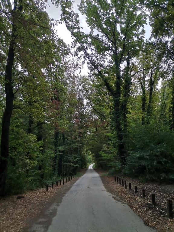 Príroda v okolí dovolenkového domu