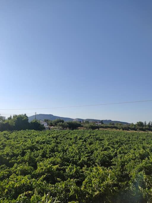 Paesaggio naturale nelle vicinanze della casa vacanze
