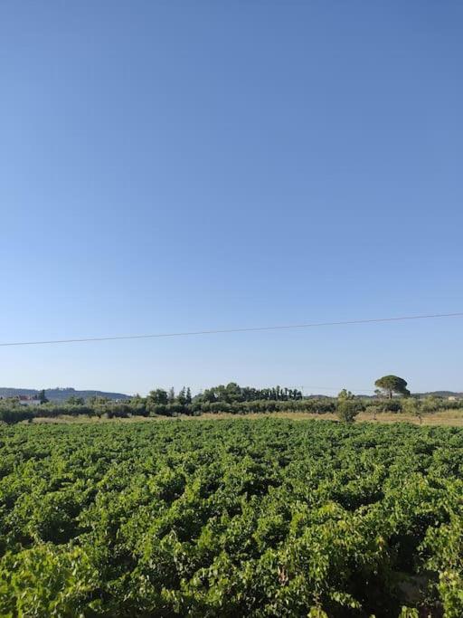 Paesaggio naturale nelle vicinanze della casa vacanze