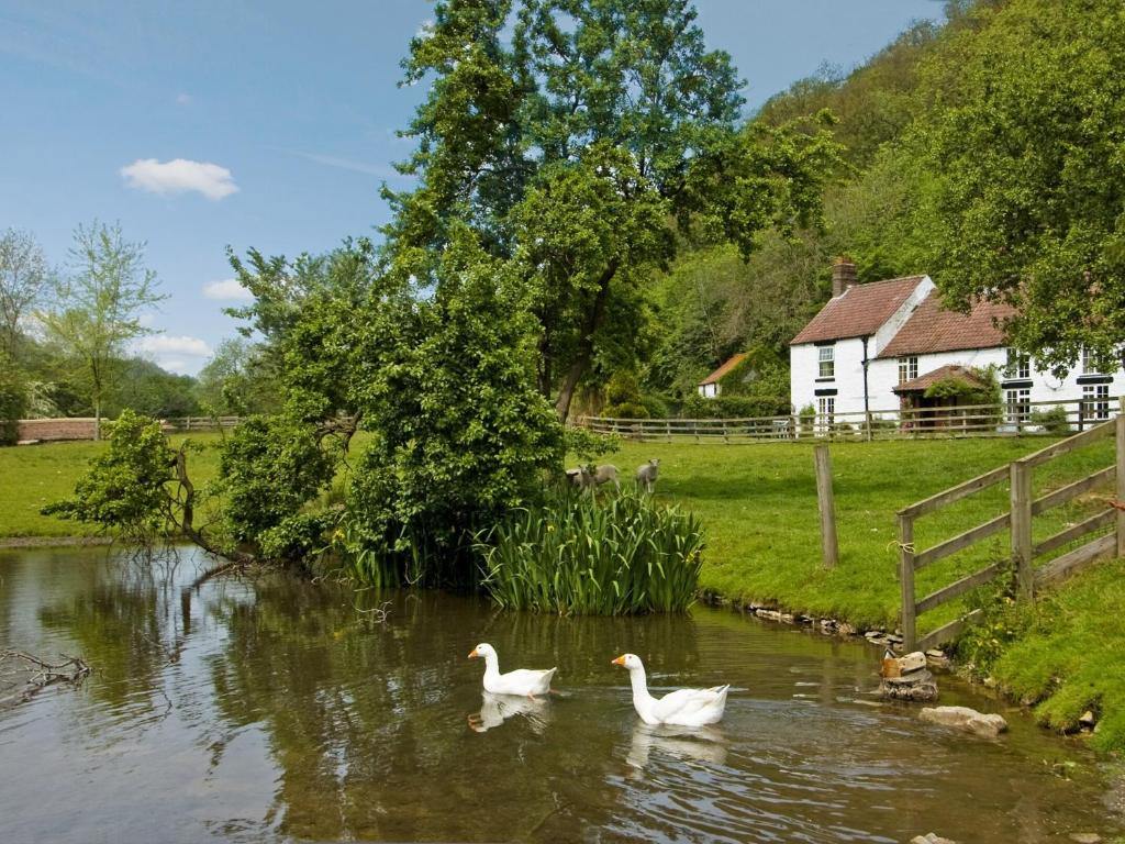 Ashberry Cottage in Old Byland, North Yorkshire, England