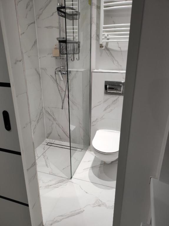 Noclegi u Sylwii przy Termach w Cieplicach - 14