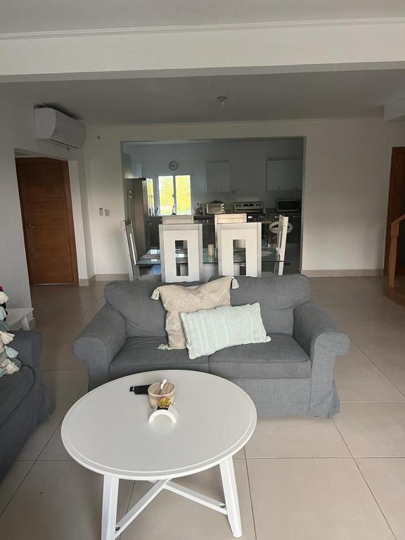 Snapshot of Shedique Metro Penthouse Build Properties