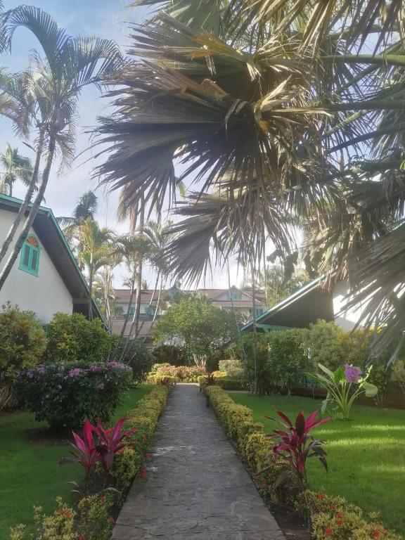 Best Hotels in Samana Peninsula, Dominican Republic. 417962481