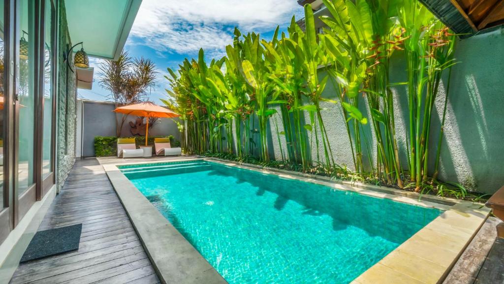 a swimming pool in a house with plants at Sotis Villas Canggu in Canggu