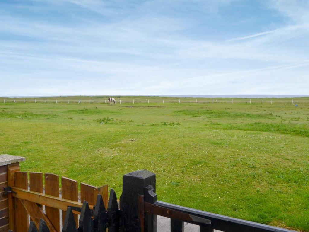 um campo com uma cerca e um cavalo à distância em East Sea View em Woodhorn