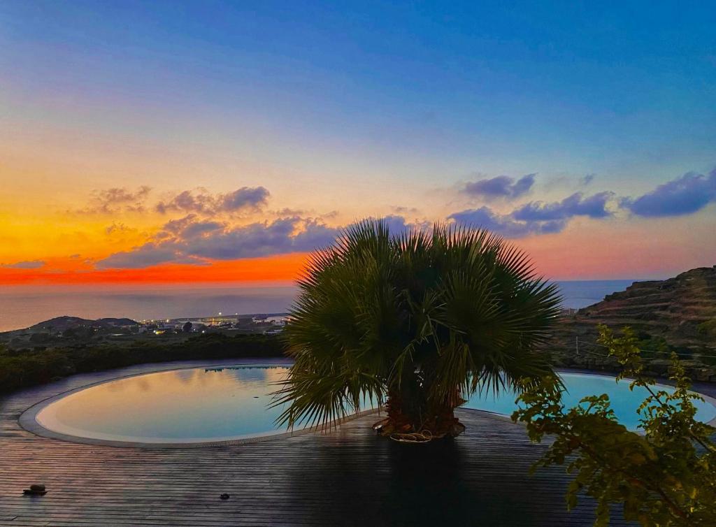 a palm tree sitting next to a pool at sunset at Mina' Alfarah in Pantelleria