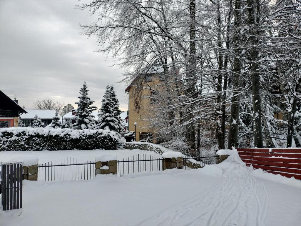 Stajnia v zime