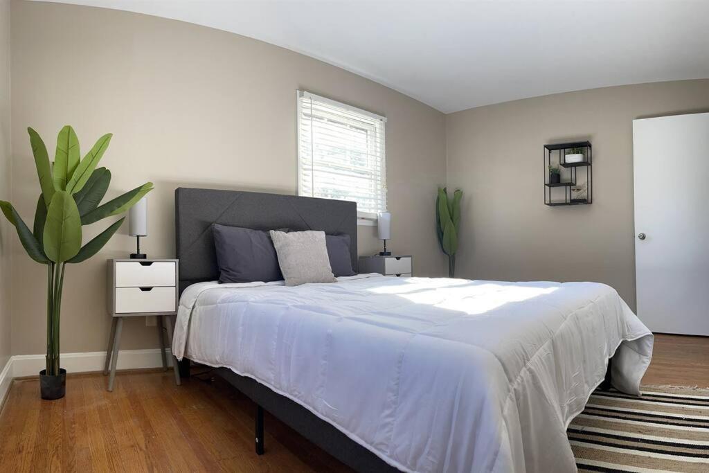 Lovely 5B/2BA Minutes from Uptown w/ King Bed, Charlotte (updated prices 2024)