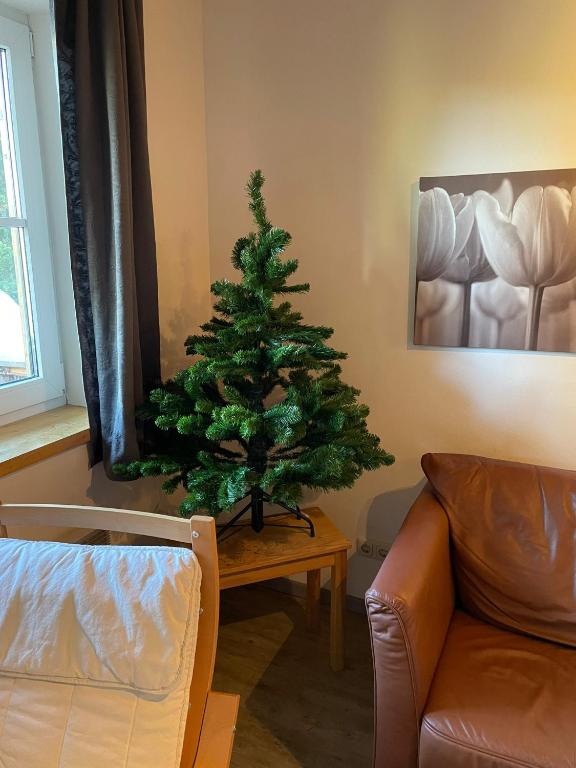 Posedenie v ubytovaní Bärenhütte