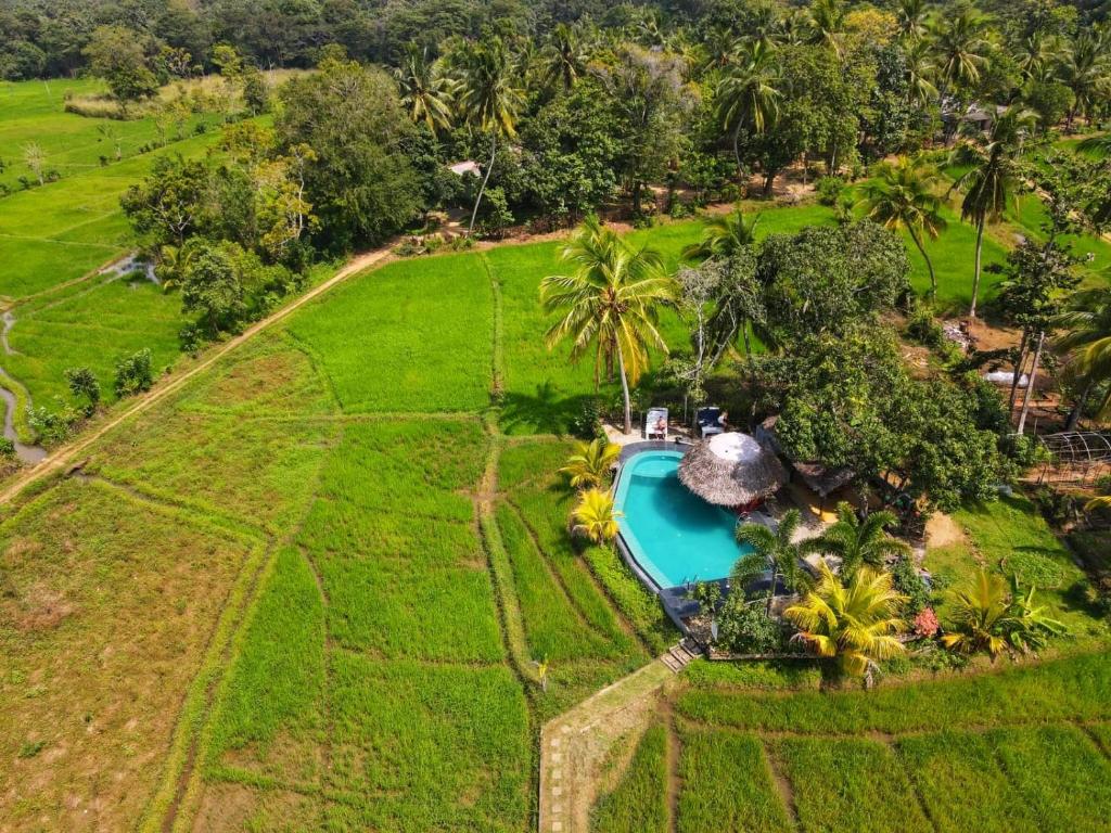 Zahrada ubytování Nelu Villa Sigiriya