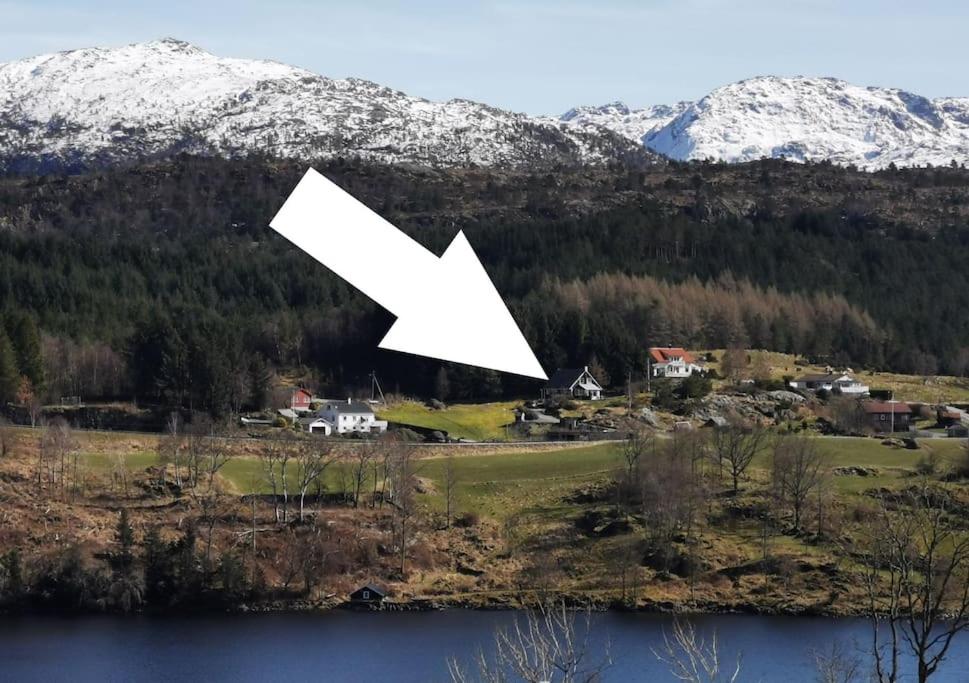 a white bird flying over a lake in front of a mountain at Topfloor Apartment Separate Entranc Nice view Stord in Fitjar