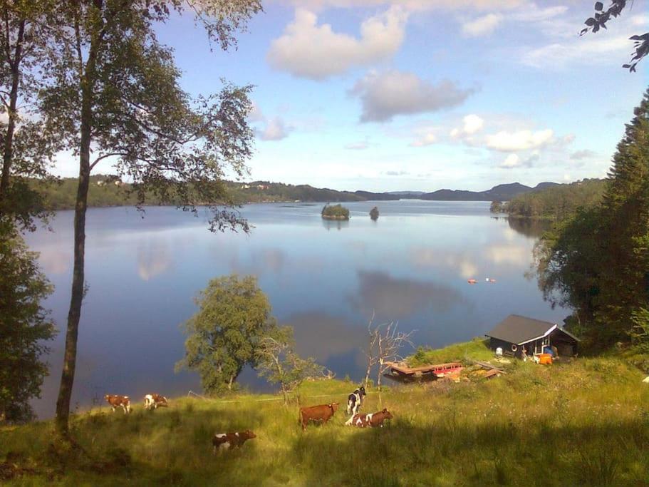 Topfloor Apartment Separate Entranc Nice view Stord - Apartamento De Dos Dormitorios