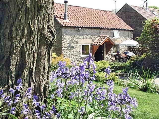 a garden with purple flowers in front of a house at Old Barn Cottage in Lockton