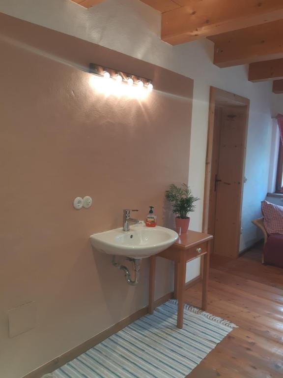 a bathroom with a sink and a table with a potted plant at Sonnleit'n Zimmer 7 in Abtenau