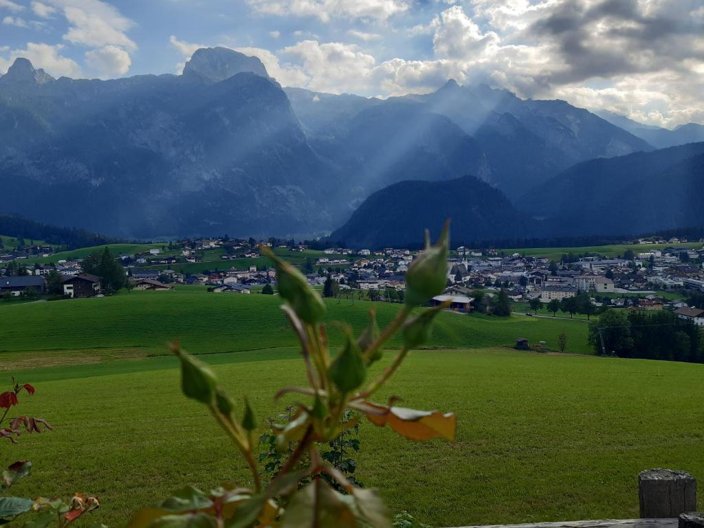 a view of a green field with mountains in the background at Sonnleit'n Zimmer 7 in Abtenau