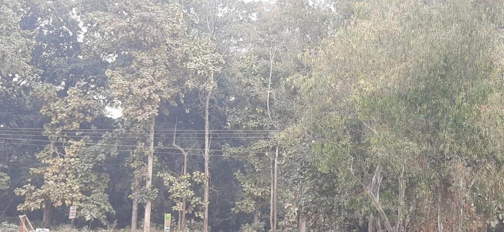 Premier Jim Corbett Home Stay