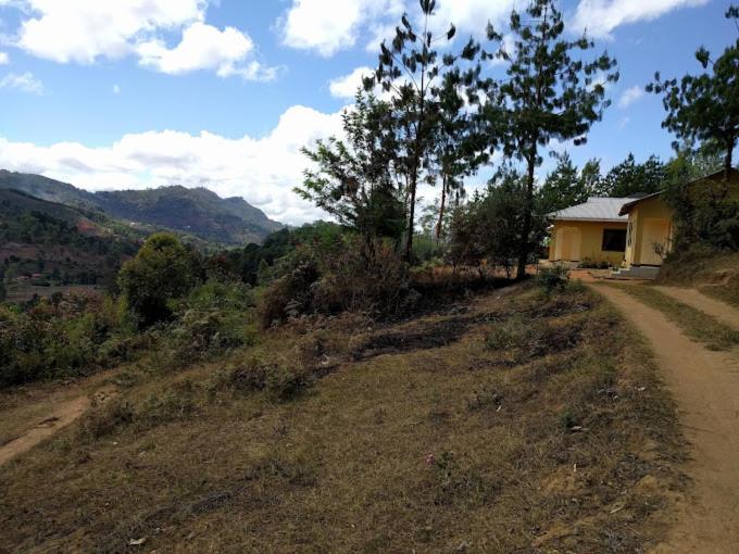 un chemin de terre à côté d'une maison sur une colline dans l'établissement Usambara Green Forest, à Lushoto
