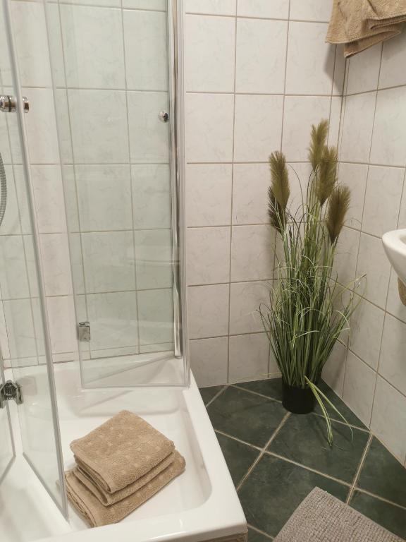 Koupelna v ubytování Haus Knoll