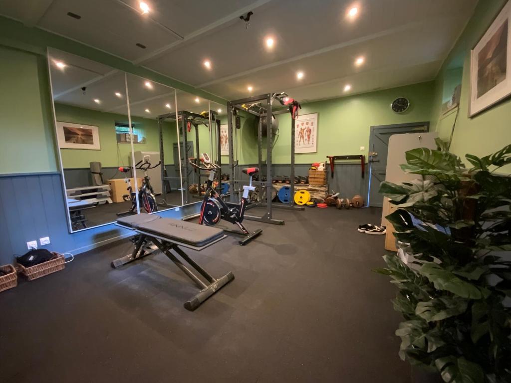 Fitness centrum a/nebo fitness zařízení v ubytování Priory at Kergudon Gites