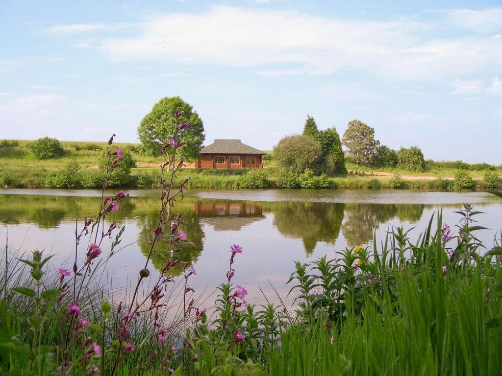 a view of a lake with a house in the background at Kingfisher Lodge in Hagwothingham