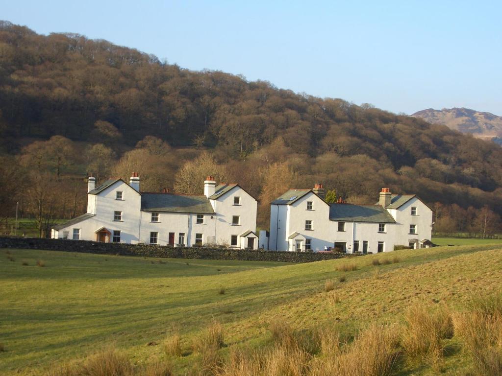 a row of white houses on a grassy hill at Brasscam in Rosthwaite