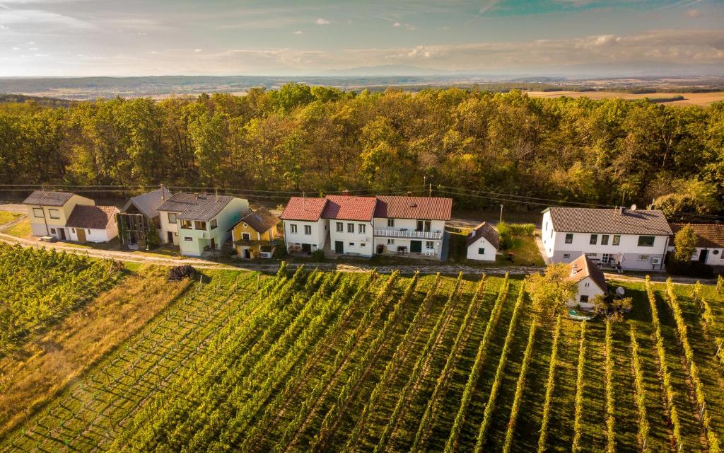 una vista aérea de una finca con un viñedo en Ferienhaus Szapary I en Eisenberg an der Pinka