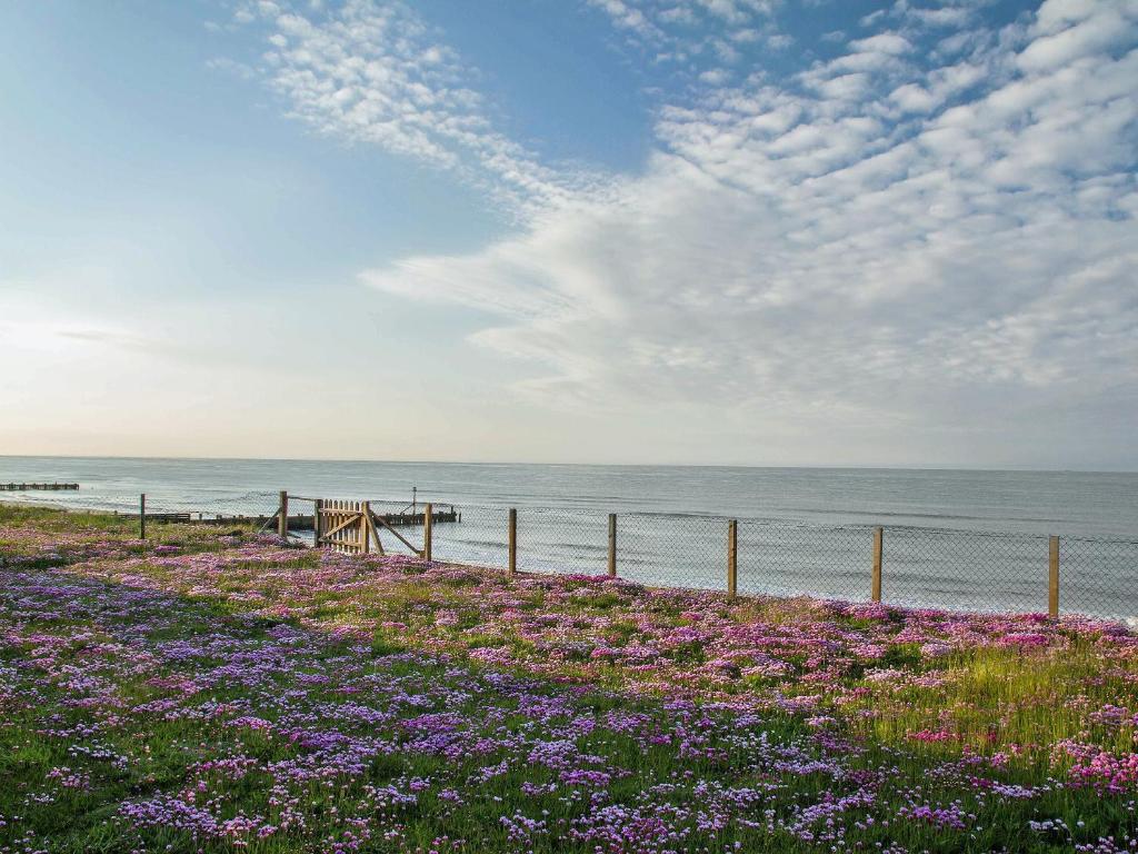 un campo de flores púrpuras junto al océano en Sea Drift en Walcott