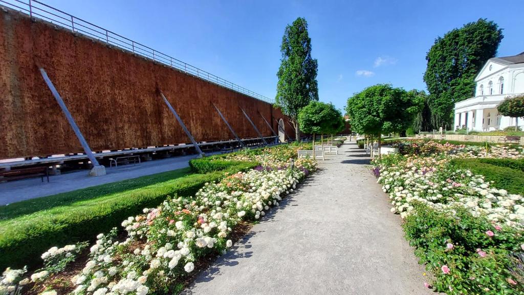 Zahrada ubytování Hotel & Café KleinerGrünauer