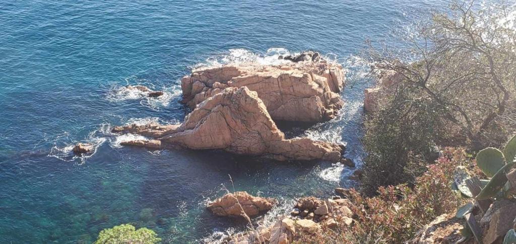 Fotografie z fotogalerie ubytování Nautic 3 terraza v destinaci Tossa de Mar