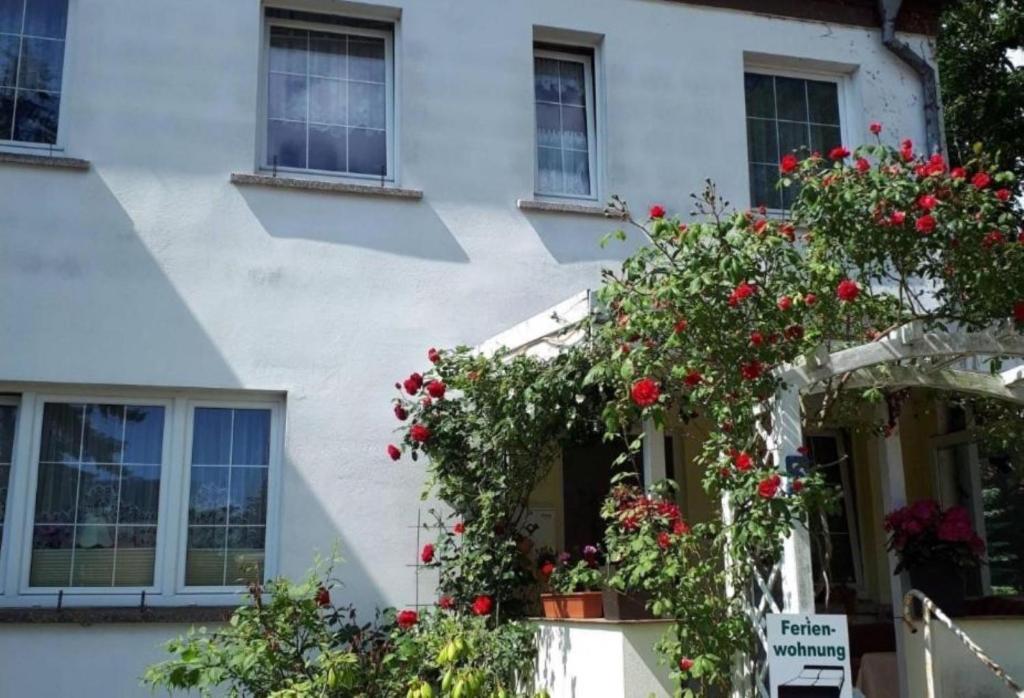 Zahrada ubytování Ferienwohnungen Max & Monika nur 250m zum Strand