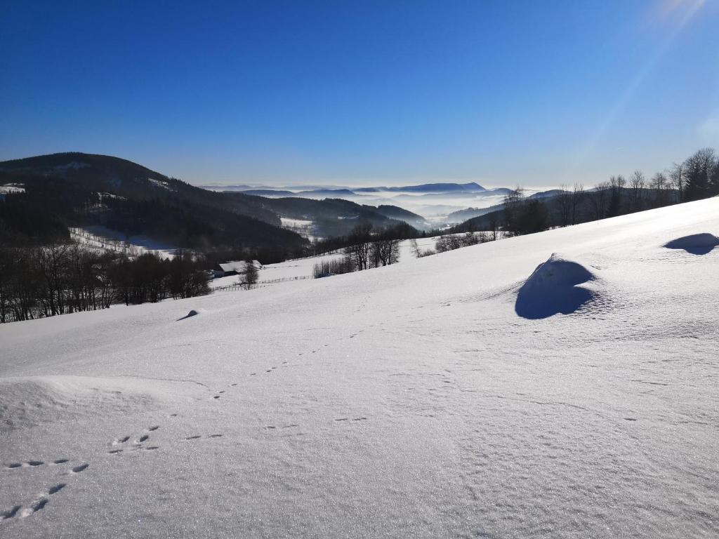 Príroda v okolí dovolenkového domu