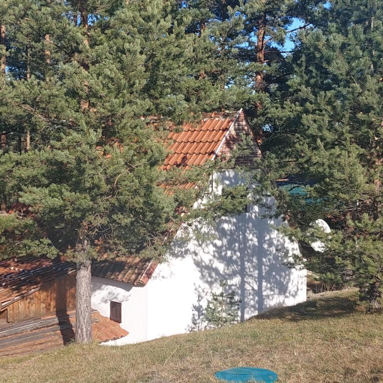 a white house with a red roof and some trees at Planinska kućica Svetlana Zlatibor in Ribnica