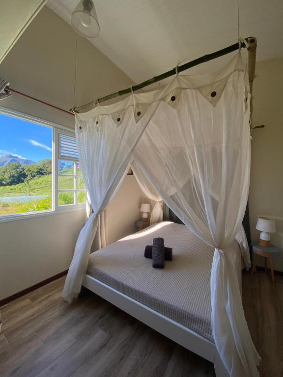 1 dormitorio con cama con dosel y ventana en Chambre Roucou vue Mont Pelée, en Le Morne Rouge