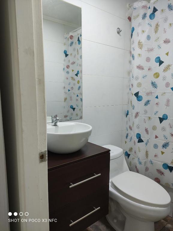 y baño con aseo blanco y lavamanos. en Santa Teresa Hostel, en Temuco