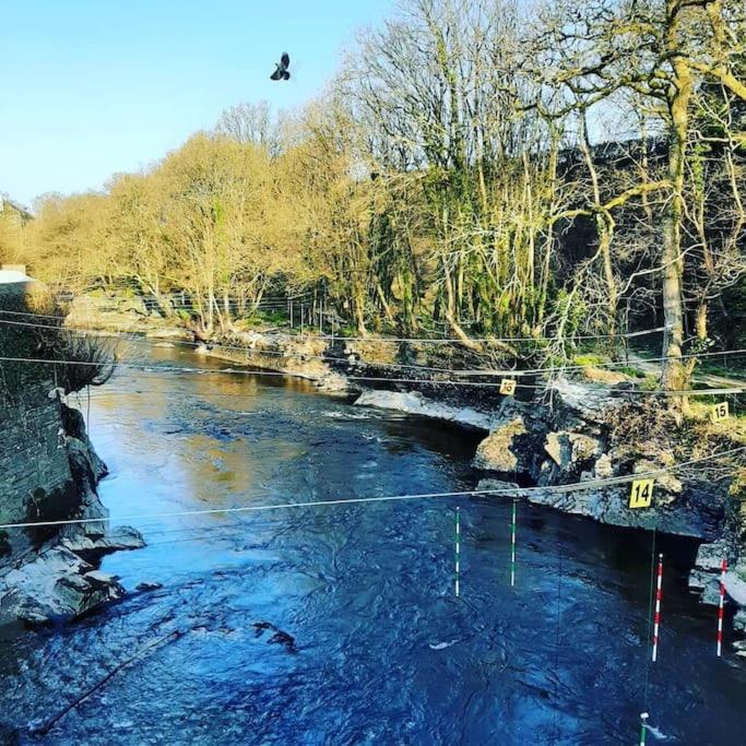 a bird flying over a river with at Selah Teifi spectacular river view with games room in Llandysul