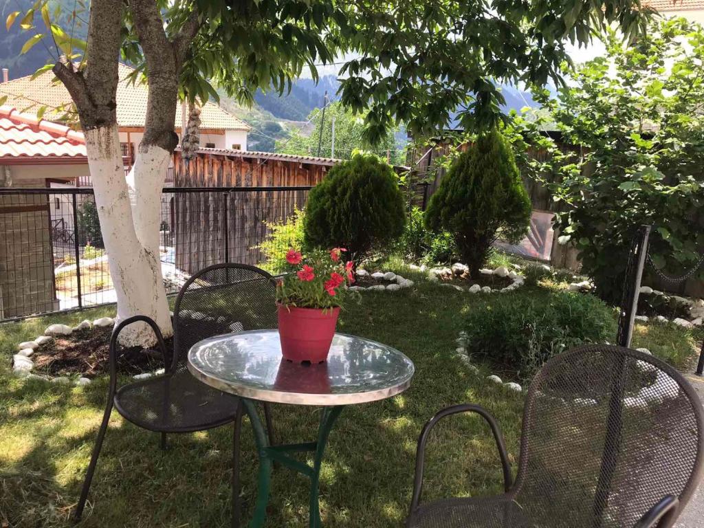 Zahrada ubytování HOTEL MARI Metsovo