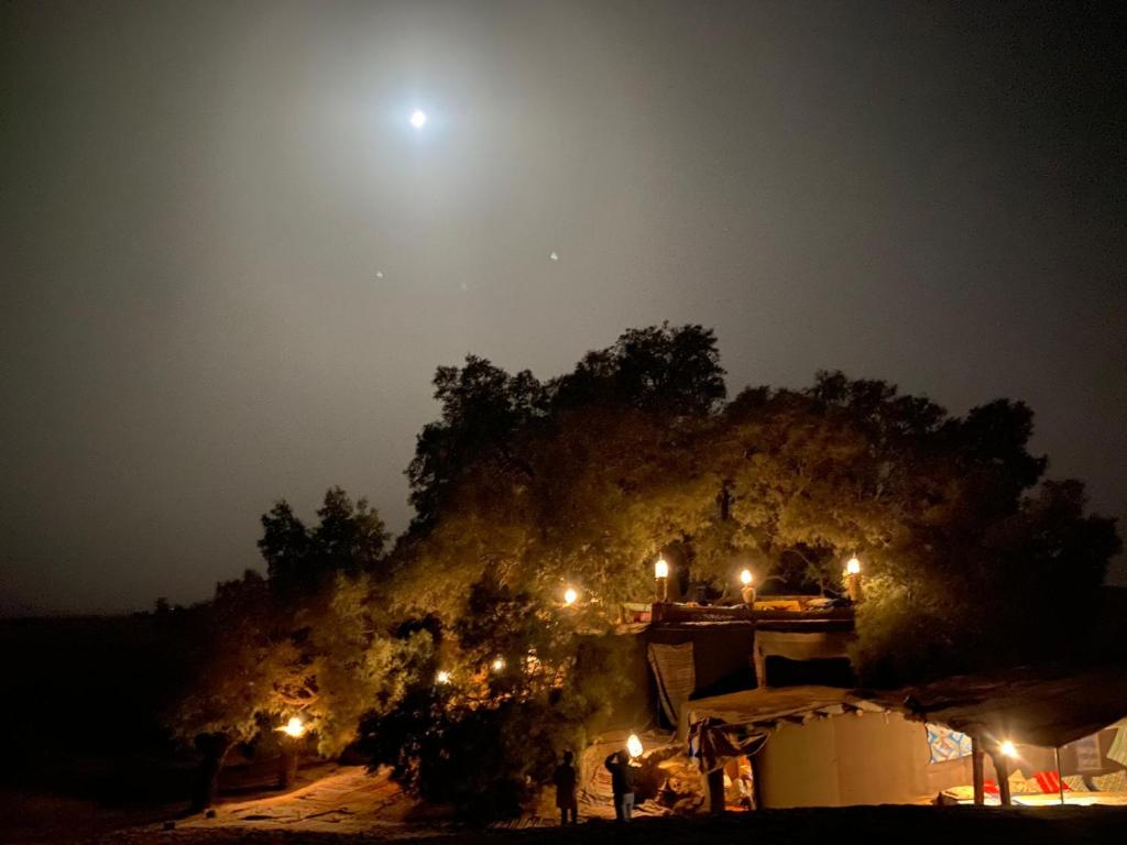 a night view of a house with trees and the moon at Tamaris Camp in Hassilabied