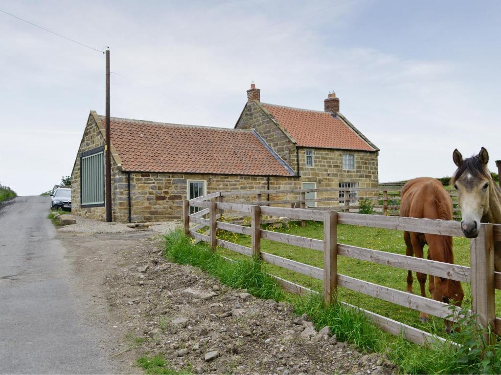 two horses standing next to a fence in front of a house at Shrubberies Cottage - Dc5472 in Skinningrove