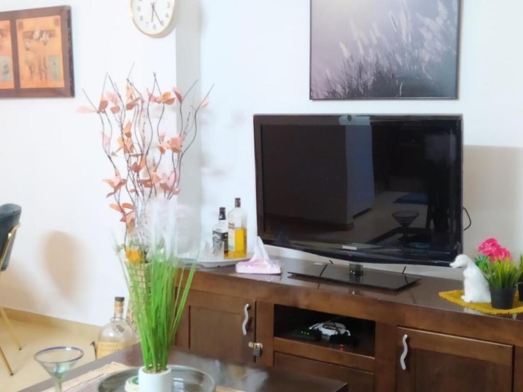 a living room with a television on a table at Enjoy home in Jerusalem